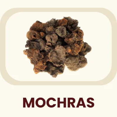 The natural gum resin obtained from the majestic Silk Cotton Tree. Primary Benefit: Known for its soothing properties and providing nutritional support.