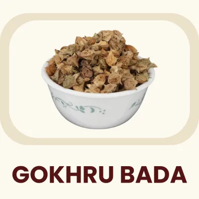 The larger variety of the Caltrops fruit, distinct in its traditional usage from the smaller variety. Primary Benefit: Supports healthy urinary tract function.