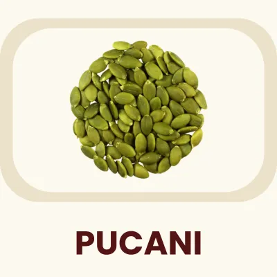 Nutrient-dense green seeds, commonly known as pumpkin kernels or pepitas. Primary Benefit: A natural source of Zinc and Magnesium that supports overall health.