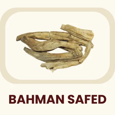 A white root utilized in Unani and Ayurvedic systems for its strengthening qualities. Primary Benefit: Traditionally used as a restorative tonic to support physical vigor.