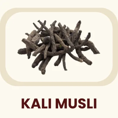 A potent, dark rhizome traditionally valued for its restorative qualities. Primary Benefit: Helps maintain physical strength and endurance.